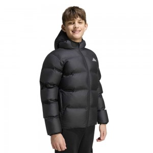 ADIDAS J SD JKT