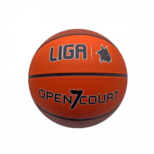 LIGASPORT BASKETBALL OPEN COURT (7) 