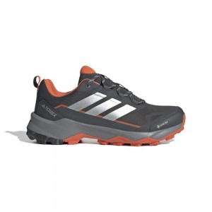 Adidas Terrex Skychaser AX5