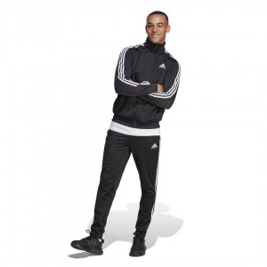 Adidas Sportswear Basic