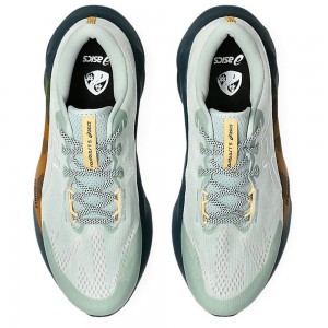 ASICS NOVABLAST 5 TR