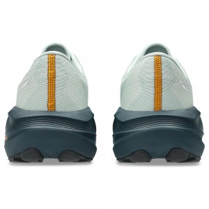 ASICS NOVABLAST 5 TR