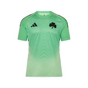 ΠΑΝΑΘΗΝΑΙΚΟΣ Ανδρική Φανέλα Τερματοφύλακα Λαχανί 2025/26