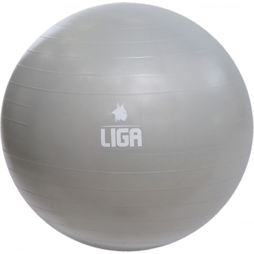 LIGASPORT Μπάλα Γυμναστικής 55cm (Gym Ball) Γκρι