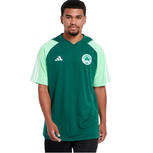 ADIDAS ΠΑΝΑΘΗΝΑΙΚΟΣ T-Shirt Προπόνησης Παικτών Ανδρικό 2023-24