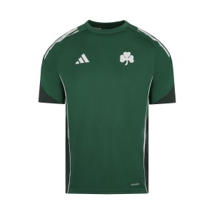 ΠΑΝΑΘΗΝΑΙΚΟΣ Παιδικό T-Shirt Προπόνησης 2025–26