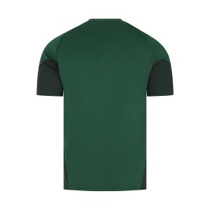 ΠΑΝΑΘΗΝΑΙΚΟΣ Παιδικό T-Shirt Προπόνησης 2025–26