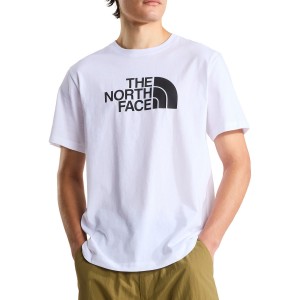 THE NORTH FACE MENS EVOLUTION HALF DOME REGULAR SHORT SLEEVE TEE