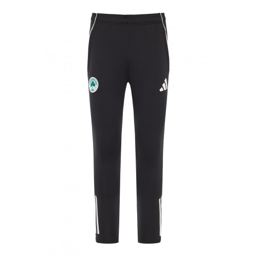 ΠΑΝΑΘΗΝΑΙΚΟΣ Ανδρικό Παντελόνι Προπόνησης 2025-26