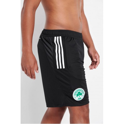 ADIDAS ΠΑΝΑΘΗΝΑΙΚΟΣ Shorts Προπόνησης Ανδρικό 2023-24