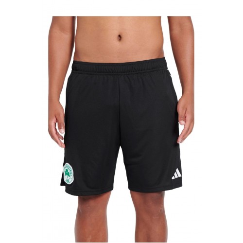 ADIDAS ΠΑΝΑΘΗΝΑΙΚΟΣ Shorts Προπόνησης Ανδρικό 2023-24