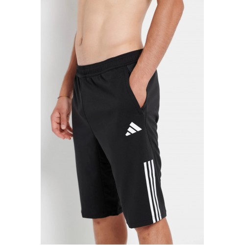 ADIDAS ΠΑΝΑΘΗΝΑΙΚΟΣ Shorts Αποστολής Ανδρικό 2023-24