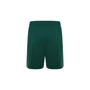 ΠΑΝΑΘΗΝΑΙΚΟΣ Παιδικό Shorts Αγώνων Εντός 2025/26