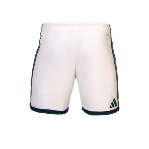 ΠΑΝΑΘΗΝΑΙΚΟΣ Shorts Εκτός Ανδρικό 2026/27