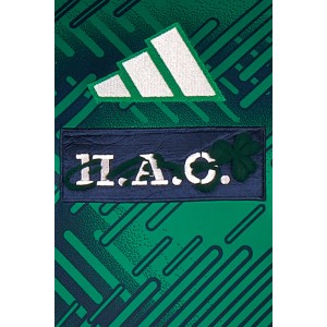 ΠΑΝΑΘΗΝΑΙΚΟΣ Warm up Παικτών Πράσινο & Μπλε L/S 2026-27