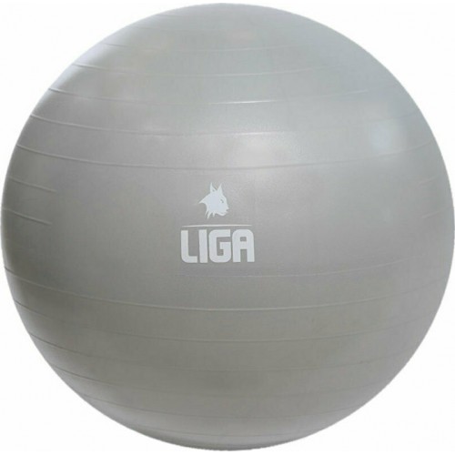 LIGASPORT Μπάλα Γυμναστικής 65cm (Gym Ball) Γκρι